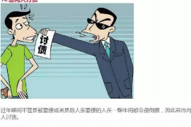 平罗对付老赖：刘小姐被老赖拖欠货款