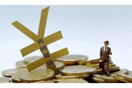 平罗为什么选择专业追讨公司来处理您的债务纠纷？