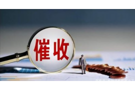 平罗专业讨债公司，追讨消失的老赖